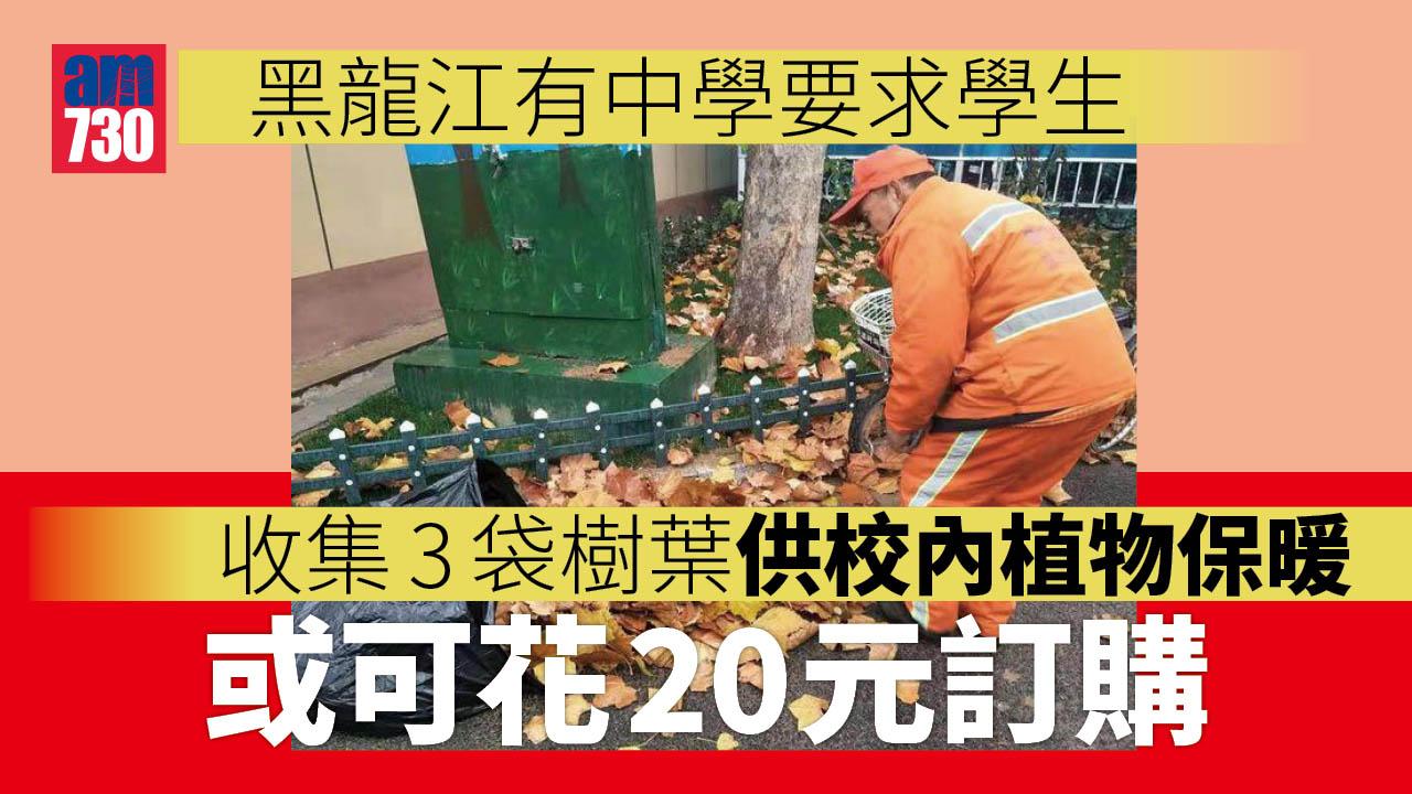 黑龍江一中學要學生交20人仔「樹葉費」 稱為校內植物防寒保暖