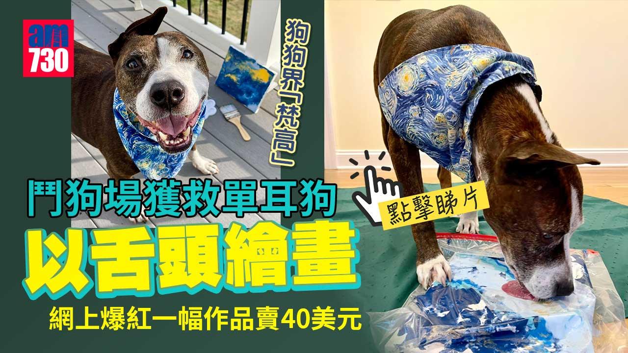 鬥狗場獲救單耳狗以舌頭繪畫　網上爆紅救己助同類(有片)