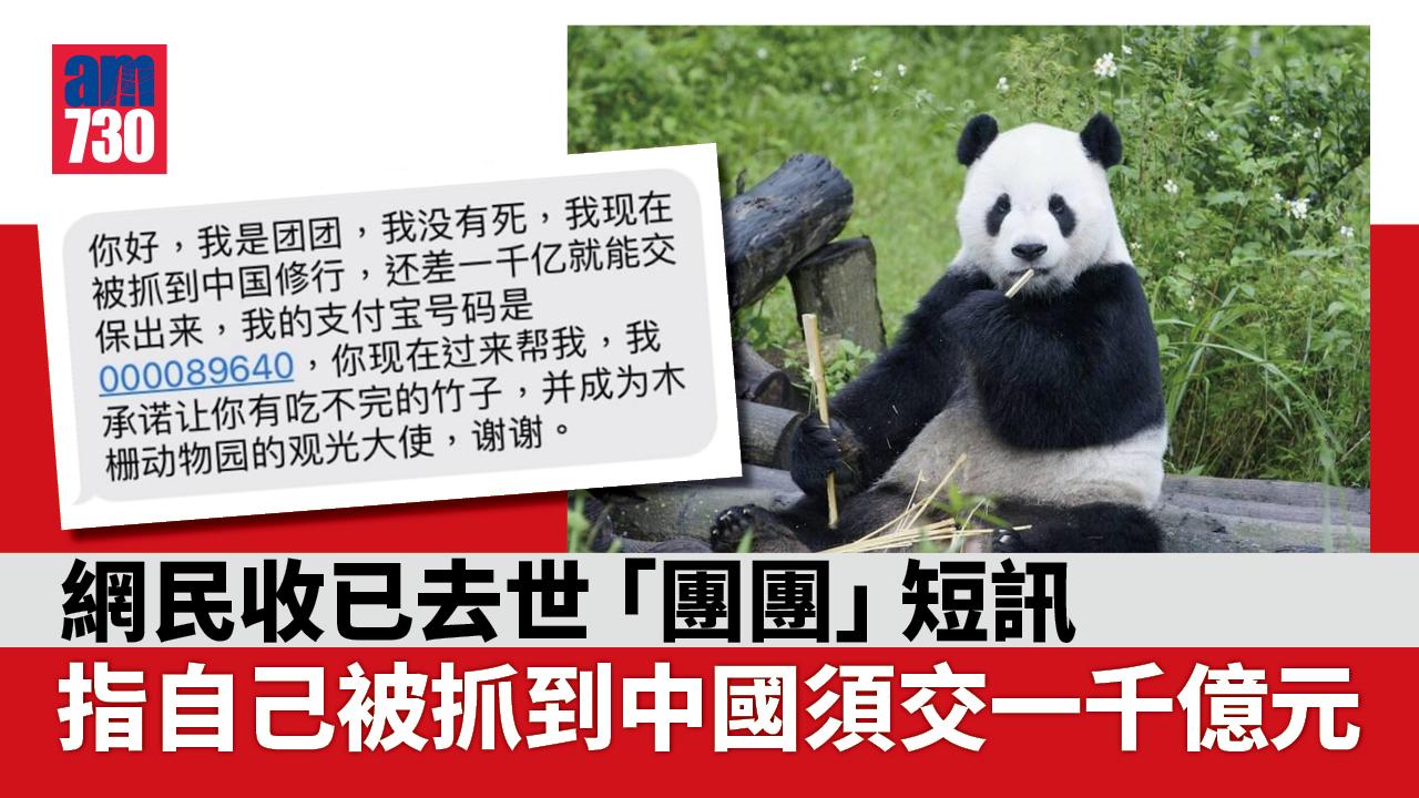 「團團」未死仲識傳短訊？詐騙集團：收錢後「讓你有吃不完的竹子」