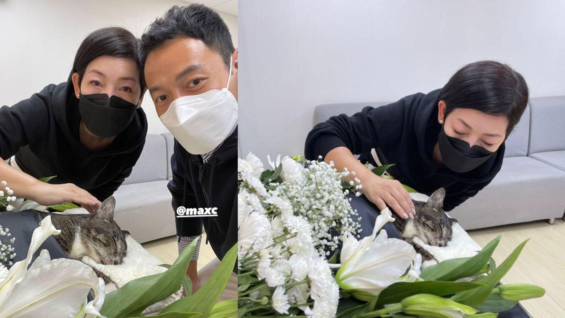 黎芷珊連失兩愛貓喊到眼腫 與舊愛張達倫送別寵物影最後合照