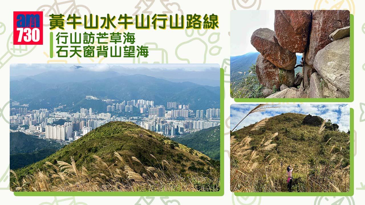 黃牛山水牛山行山訪芒草海