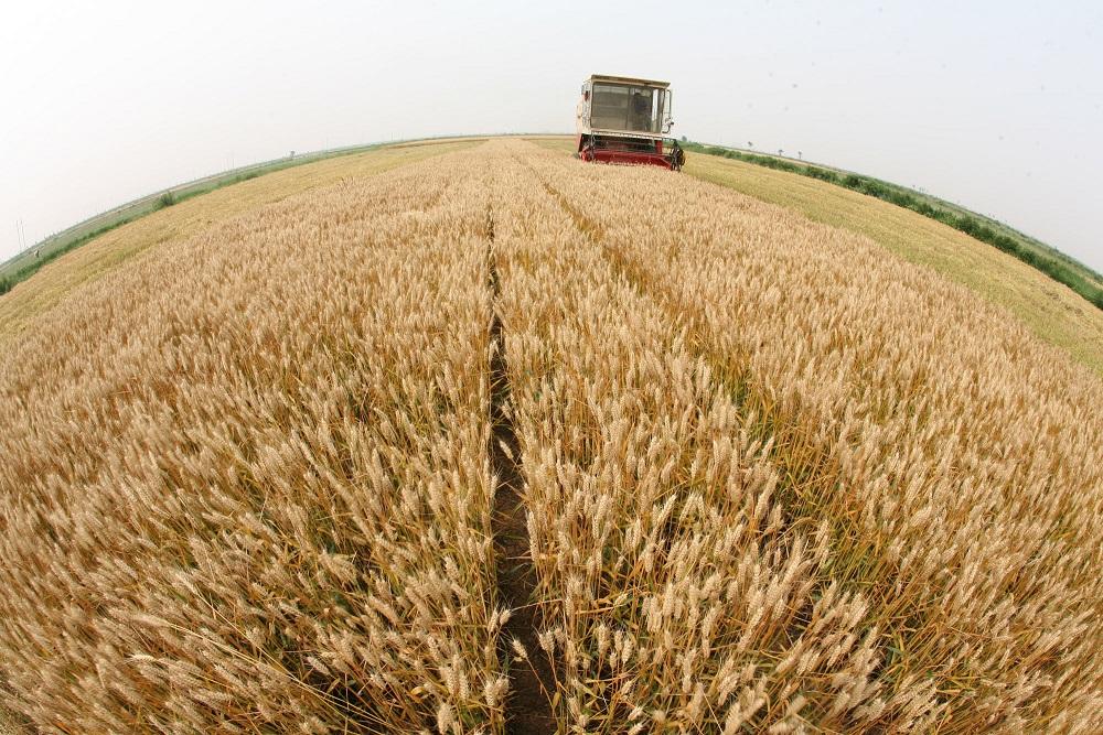 祝你在亂流下平安