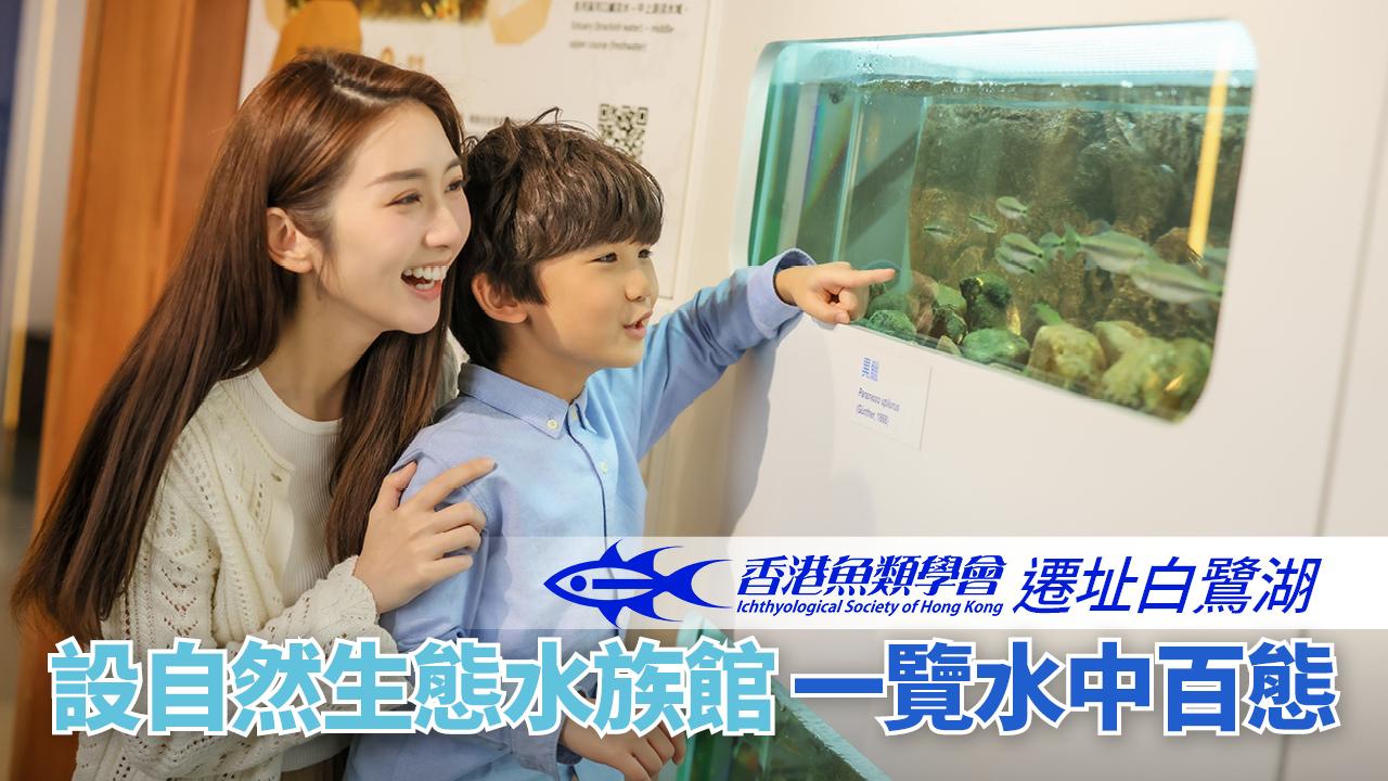 生態保育 | 香港魚類學會遷址白鷺湖 設自然生態水族館 一覽水中百態