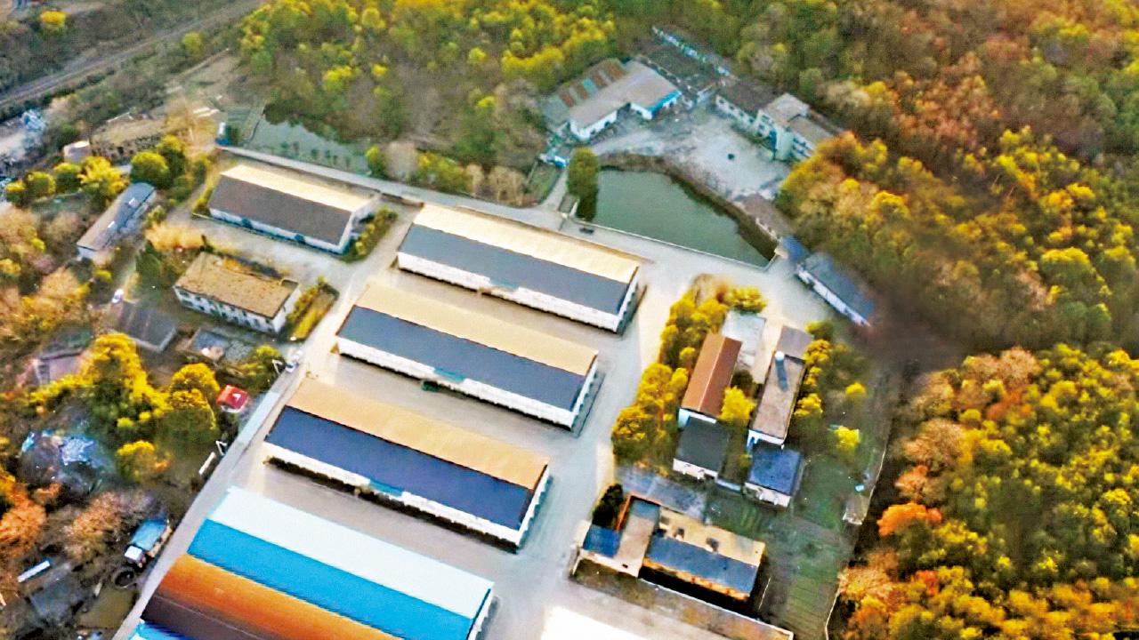 離奇失蹤106天 終尋獲遺體 胡鑫宇糧倉內鞋帶上吊