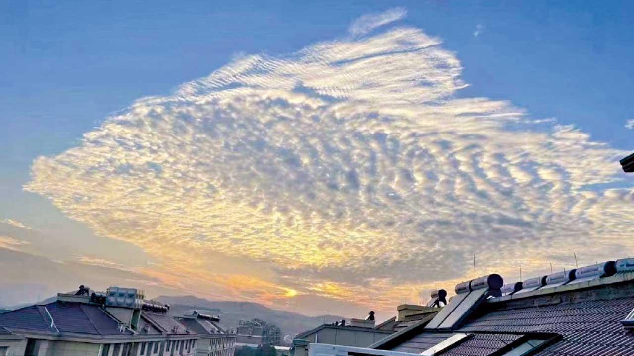 圖片故事｜好意頭