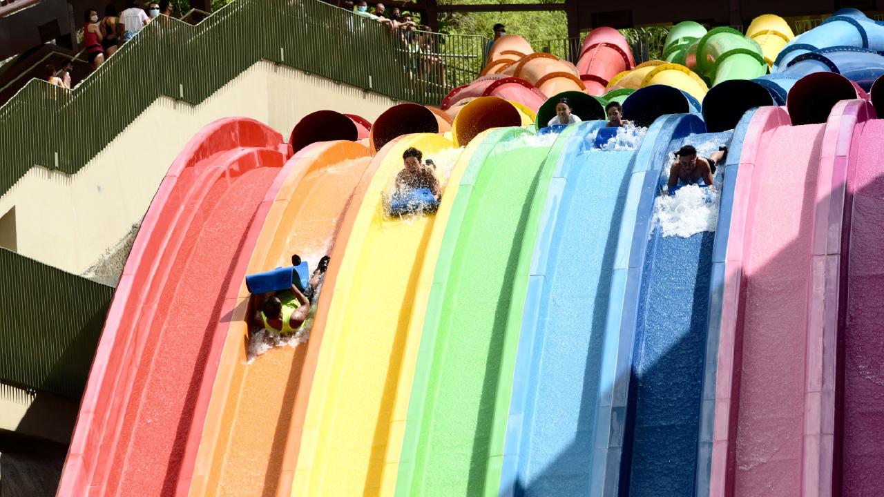 海洋公園需更突出保育理念