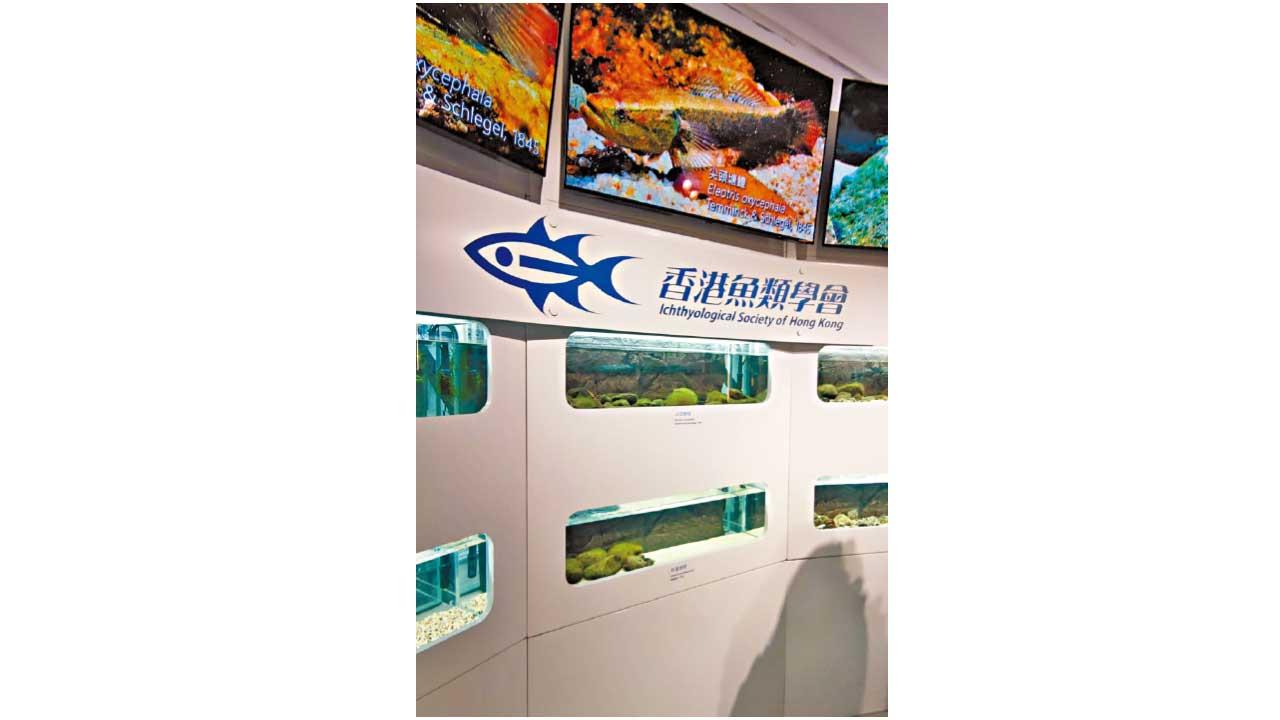 魚類與古代生業