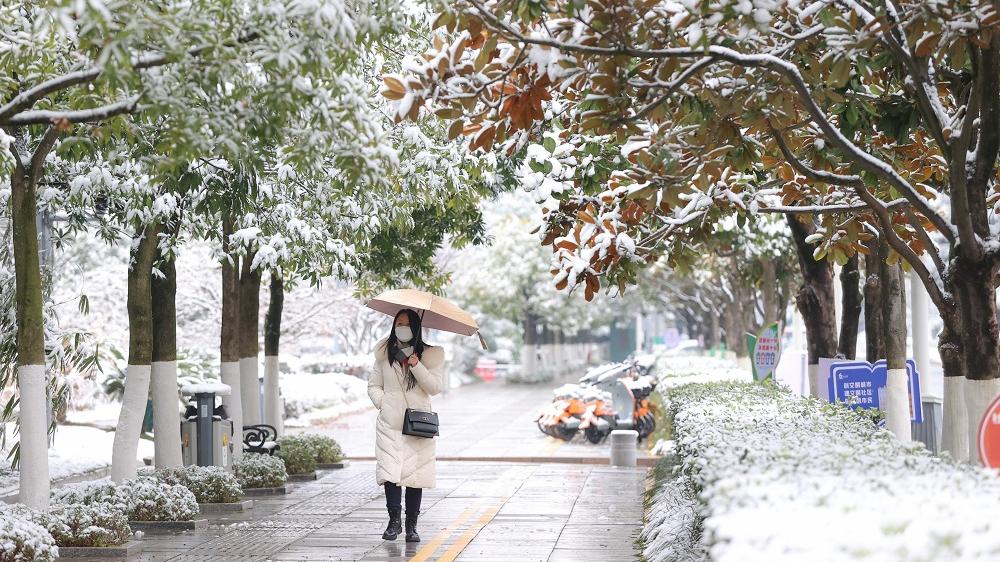 「三九嚴寒」到 強冷空氣席捲全國 局部氣溫暴跌25℃