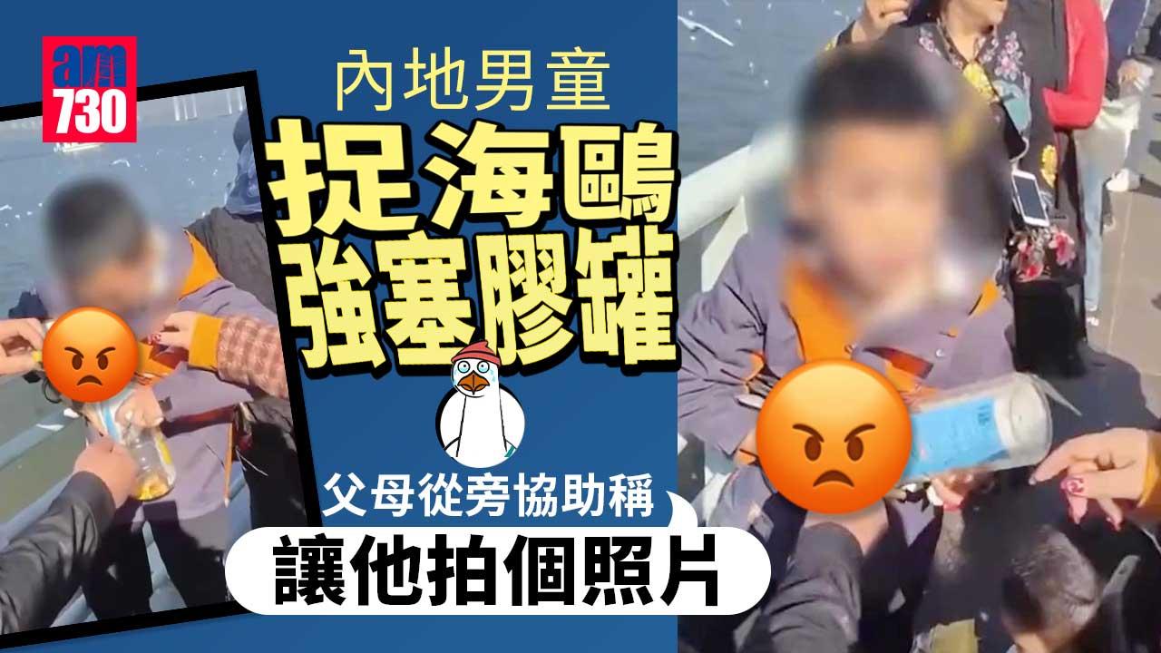 男童捉海鷗強塞入罐 父母從旁協助稱要「拍照片」