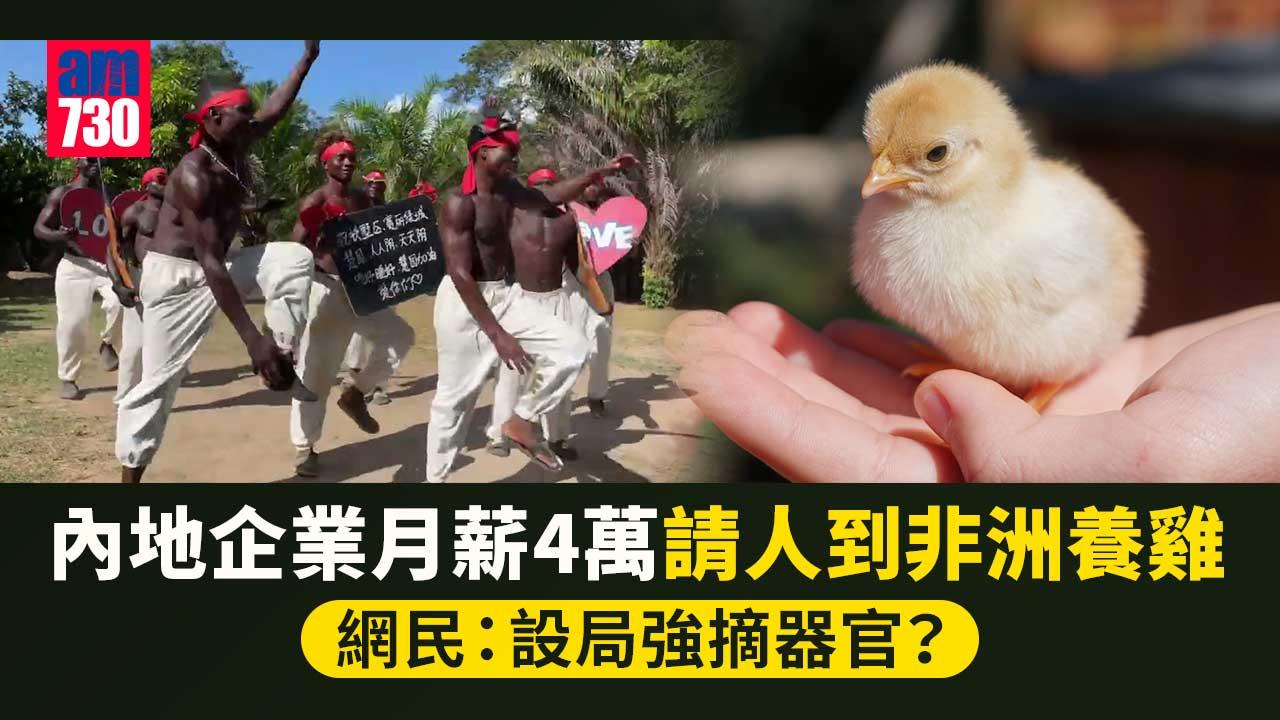 非洲荀工｜月薪4萬請人到非洲養雞　網民擔心係騙局公司咁解釋