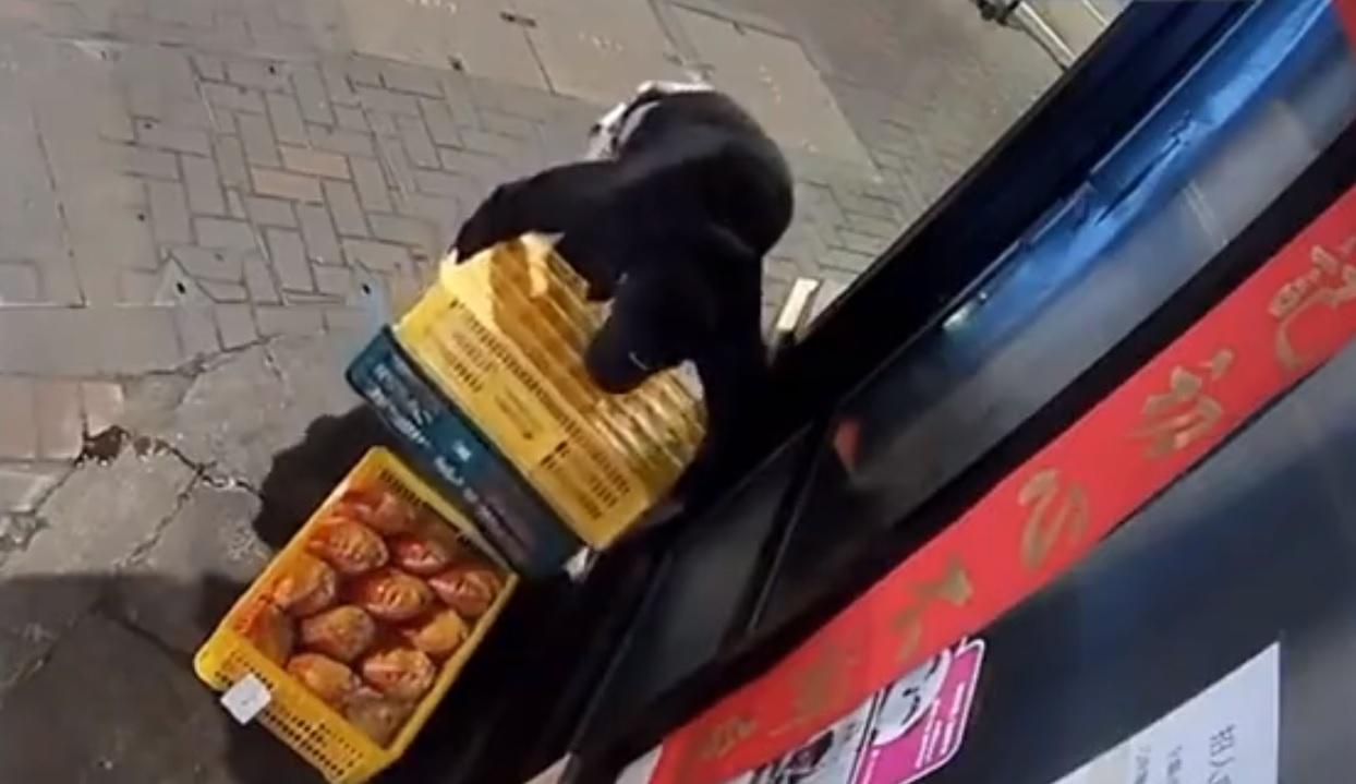 獨行賊手推車抬走3盤冰鮮雞 旺角刀削麵館CCTV影晒