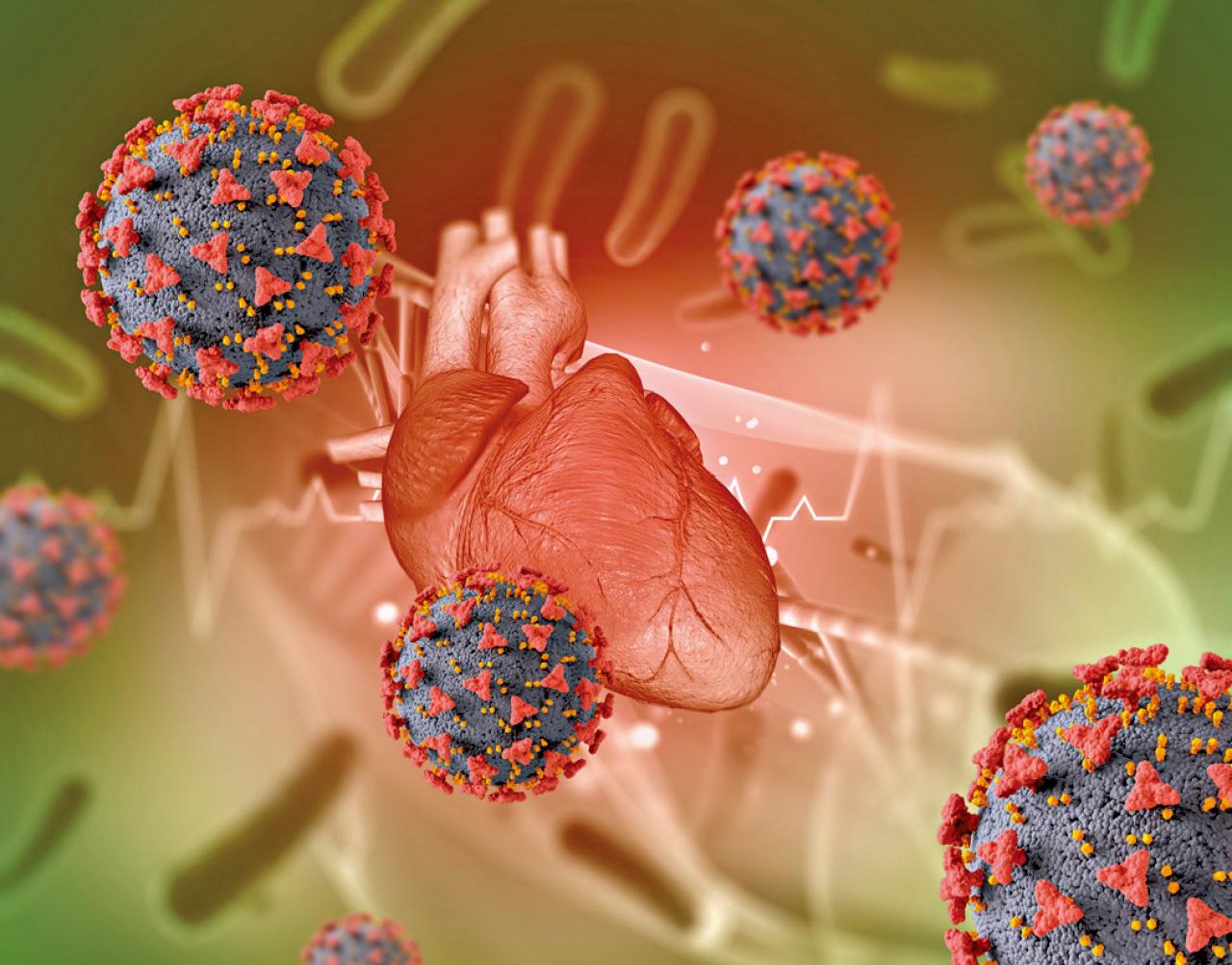 新冠病毒感染對心血管疾病風險的影響