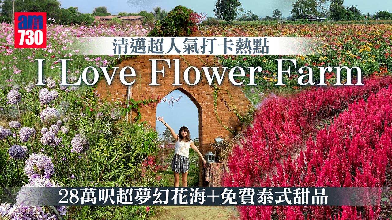 清邁旅遊｜清邁超人氣打卡熱點I Love Flower Farm  28萬呎超夢幻花海+免費泰式甜品