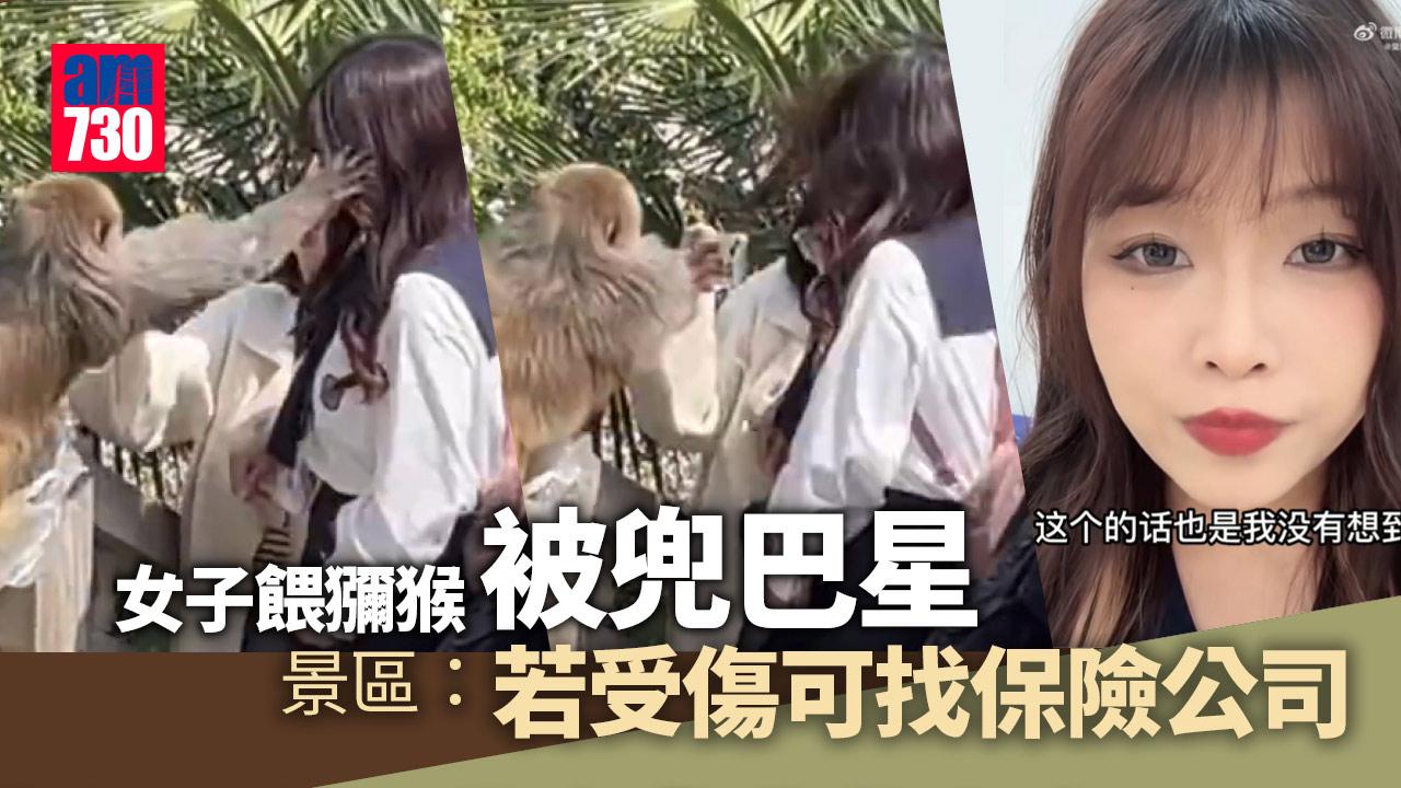 短褲女景區餵食野生獼猴慘遭掌摑　景區：已每天廣播禁止餵食　若受傷可向保險公司理賠