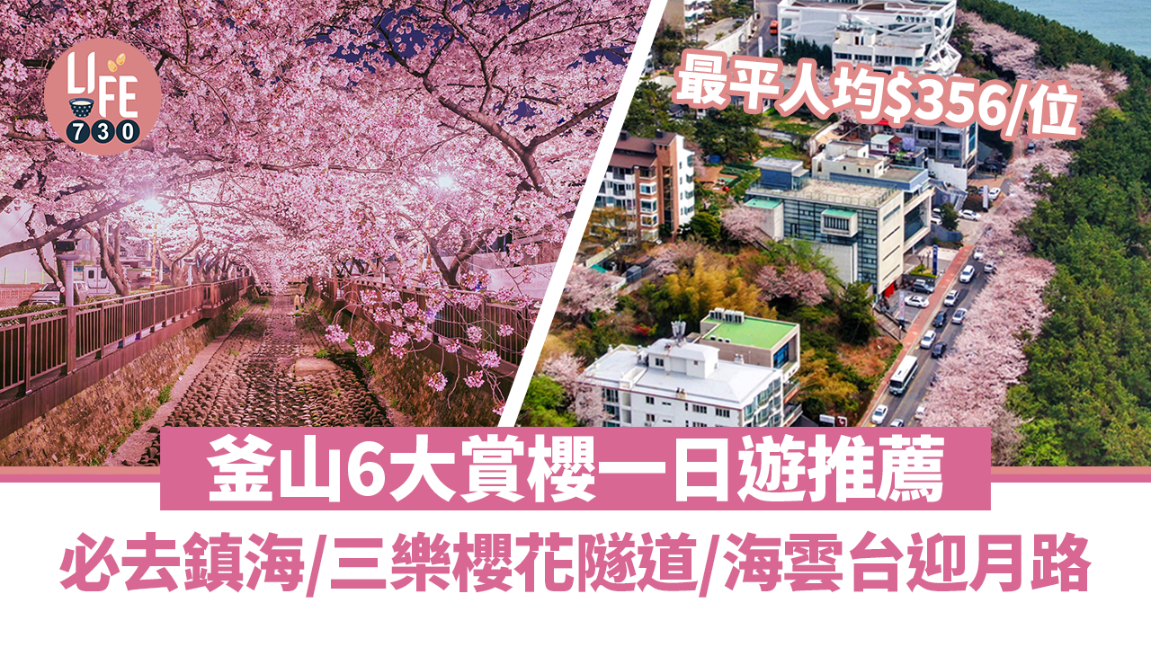 韓國櫻花2023｜釜山6大賞櫻一日遊推薦 必去鎮海/三樂櫻花隧道/海雲台迎月路 最平人均低至$356/位