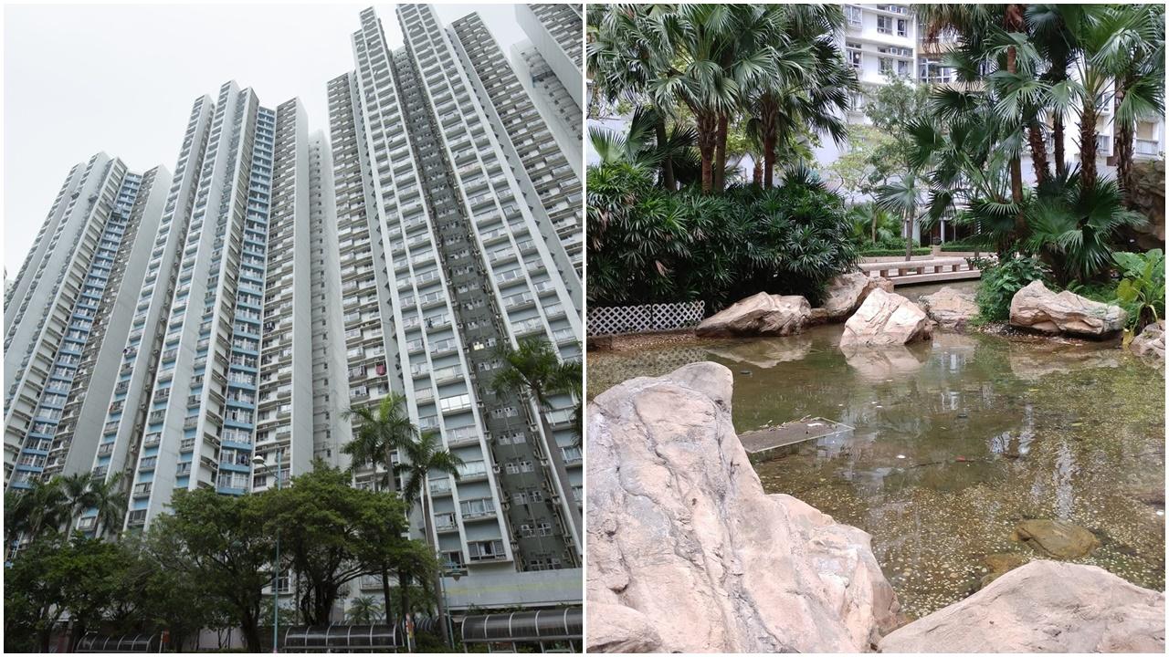 海怡半島男子疑墮水池遇溺不治。(資料圖片)