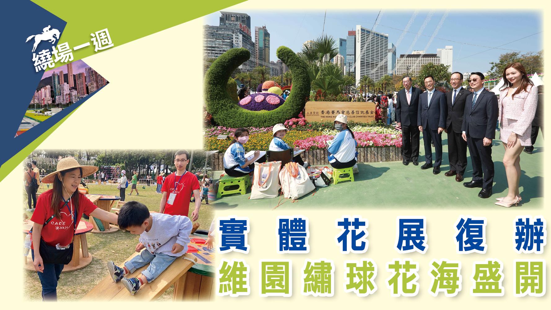 【繞場一週】實體花展復辦 維園繡球花海盛開