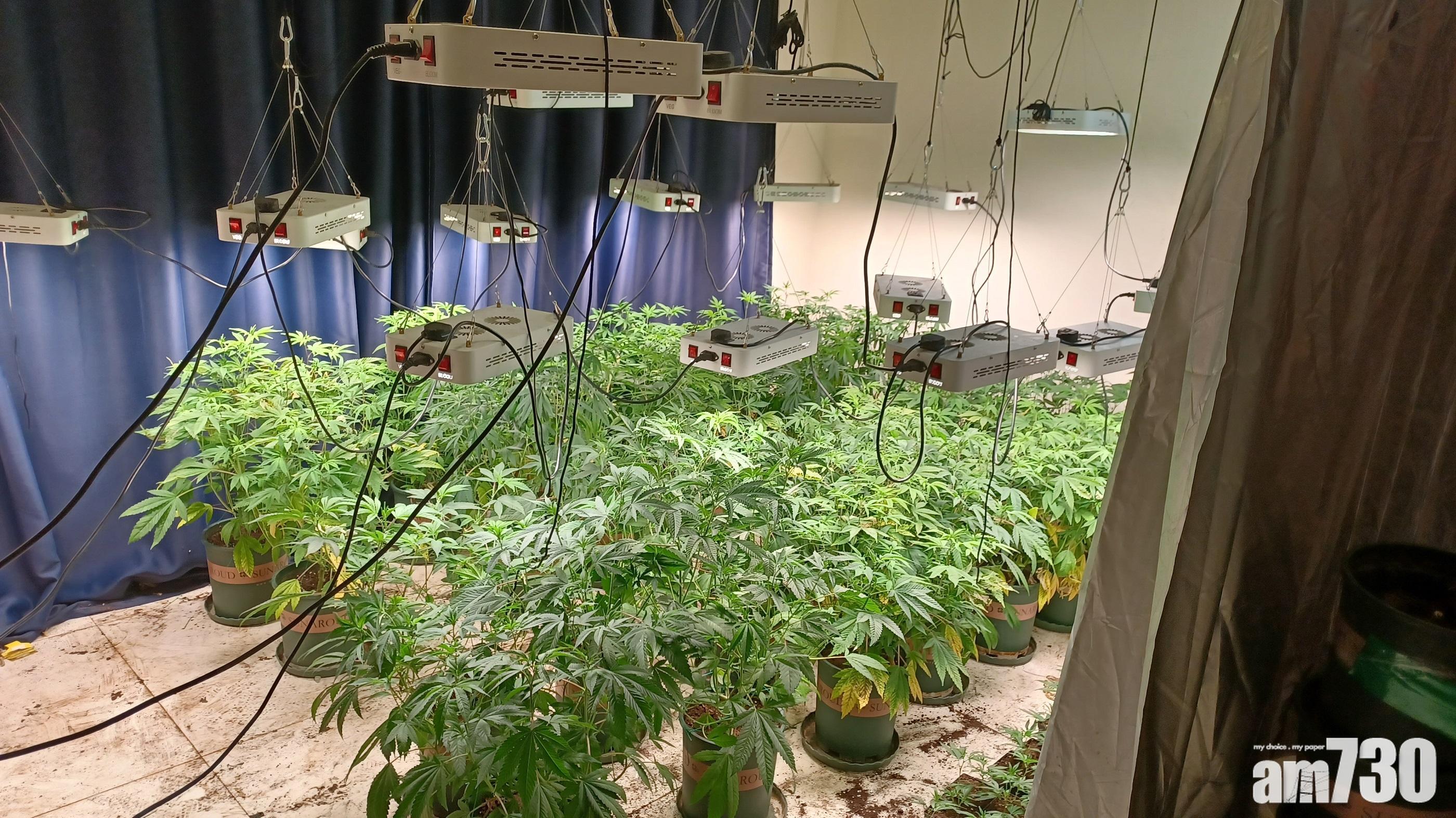 禁常會指，2022年吸毒人數下跌14%。(資料圖片)