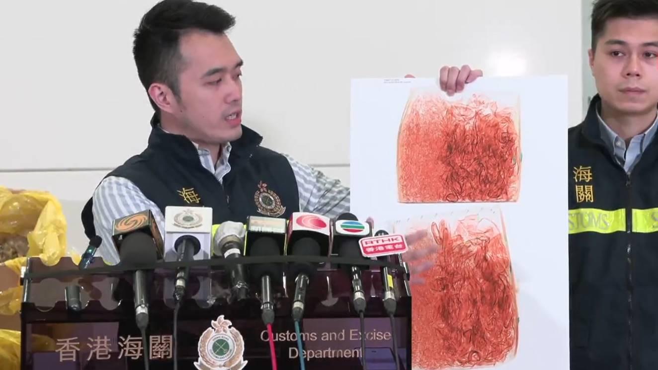 海關偵破非法進口瀕危物種　檢獲乾魚肚魚翅拘2男