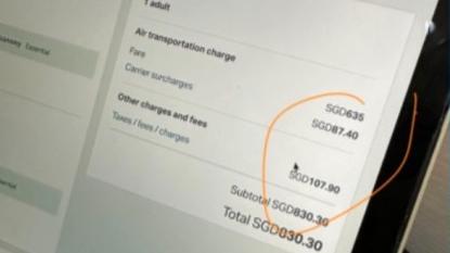 新加坡遊客指，需要額外支付逾千港元附加費。(網上圖片)