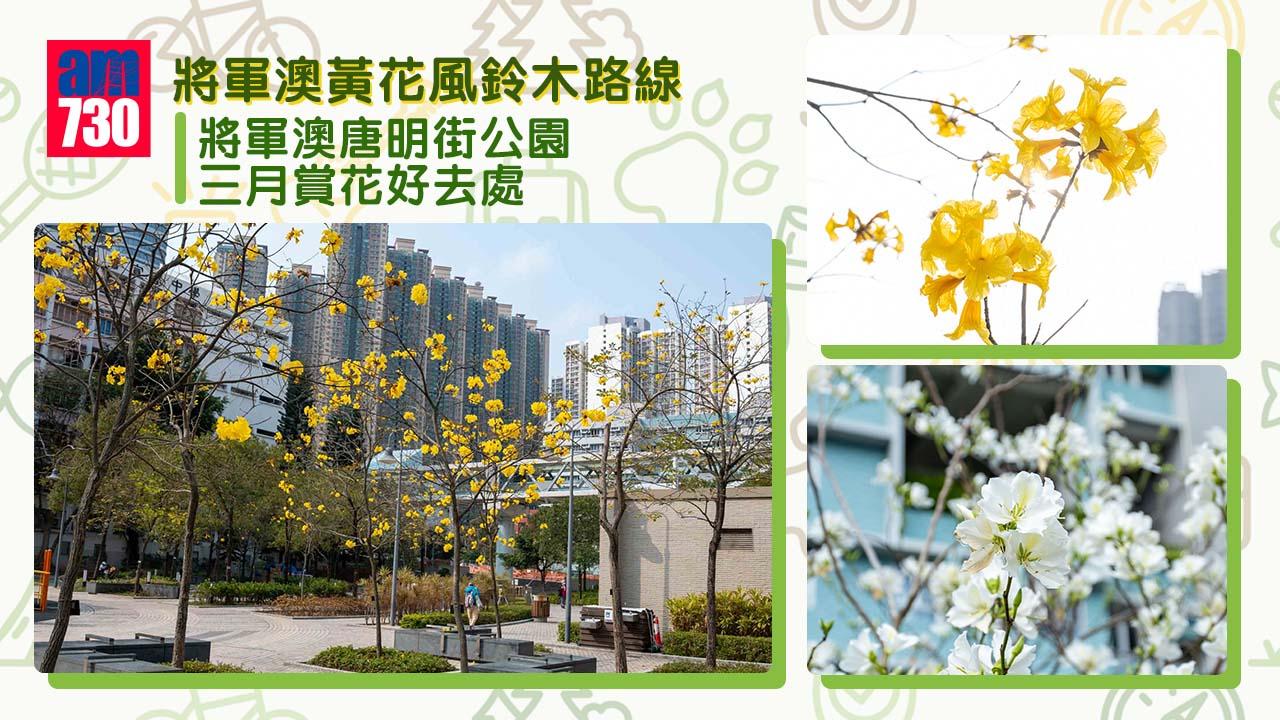 將軍澳唐明街公園