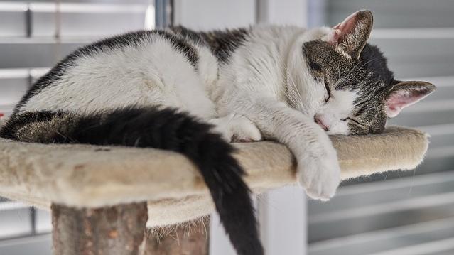 驚蟄習俗點止打小人？宜早睡早起 忌燥熱湯水袪濕最重要(附食譜)