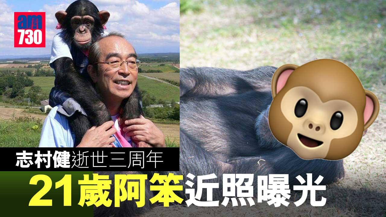 志村健逝世三周年 「阿笨」近照網上曝光忽成熱搜