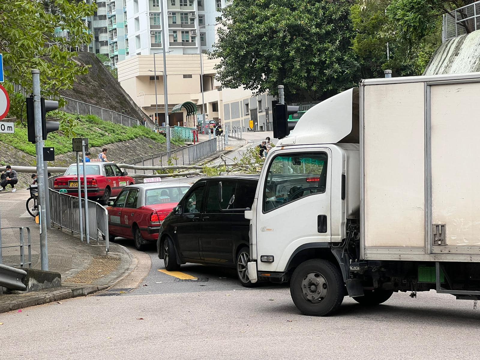 大窩口有大樹倒塌，的士車頭被壓毀。(馬路的事 (即時交通資訊台)＠FB)