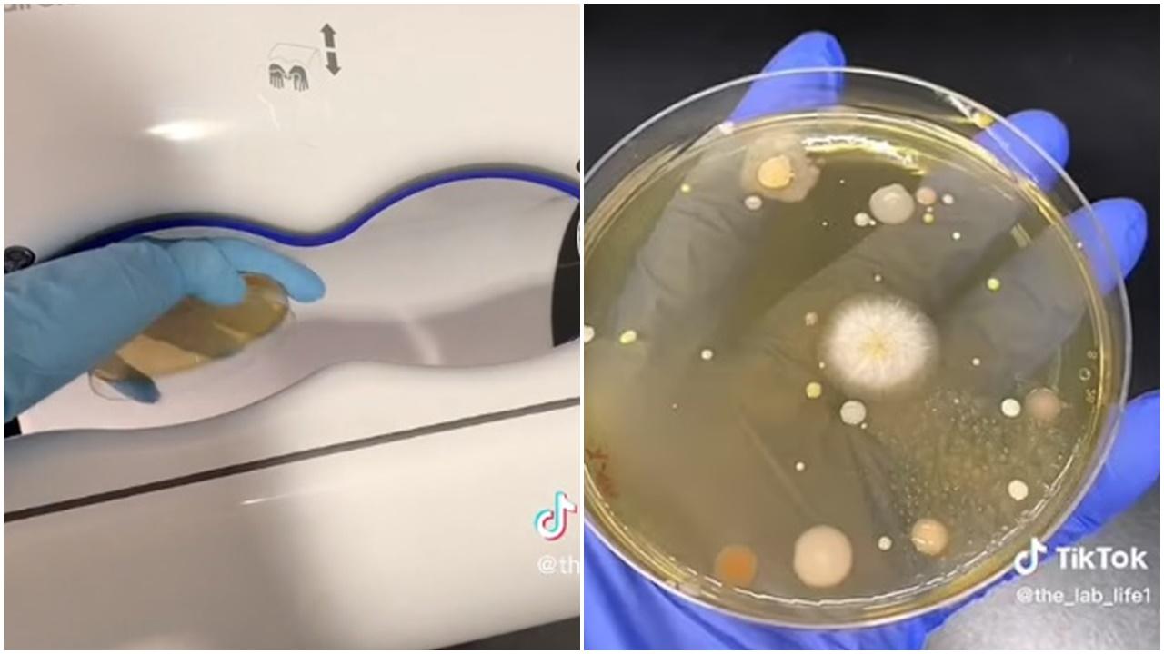 洗完手用吹風機吹乾，專家實驗證或將細菌吹回手上。(TikTok)