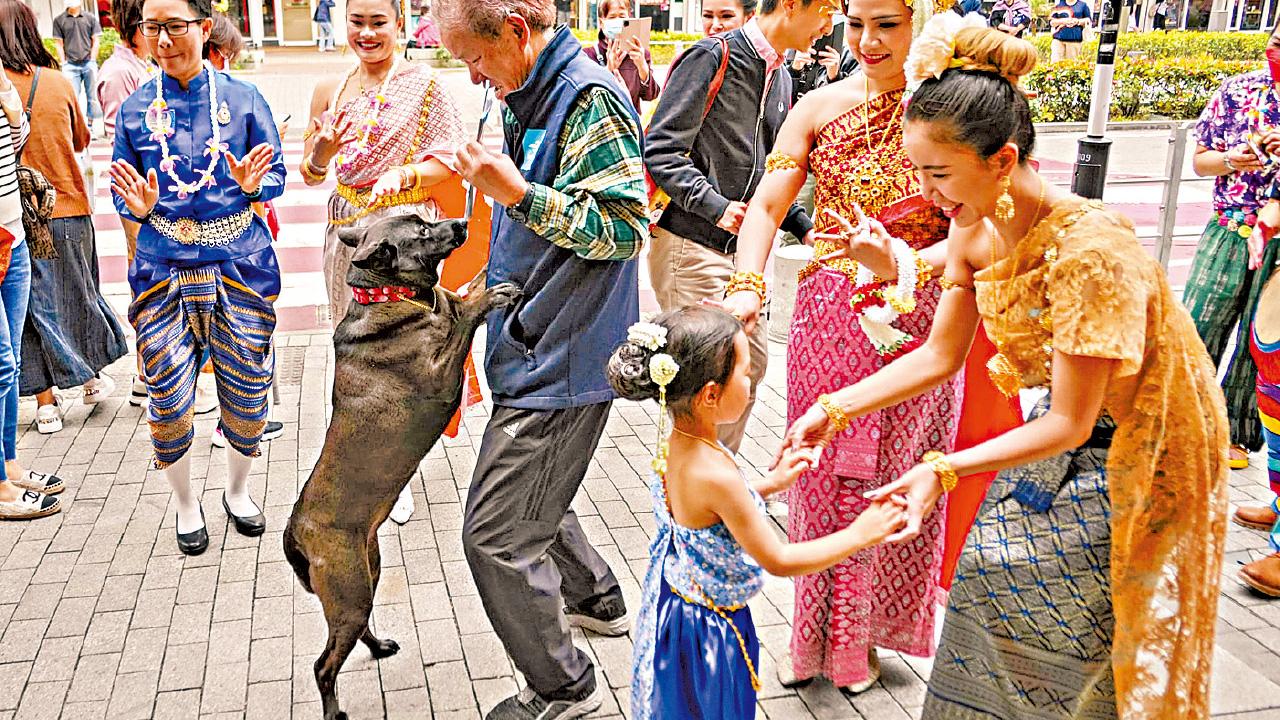 設泰式按摩 泰拳表演 龍城潑水嘉年華周日復辦