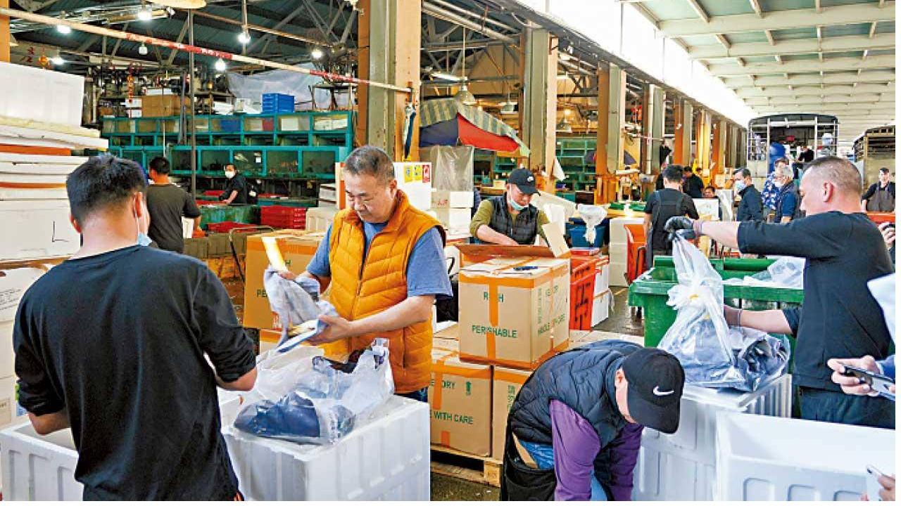 香港仔魚市場繁忙不宜設旅遊點　業界倡田灣建港版「築地」