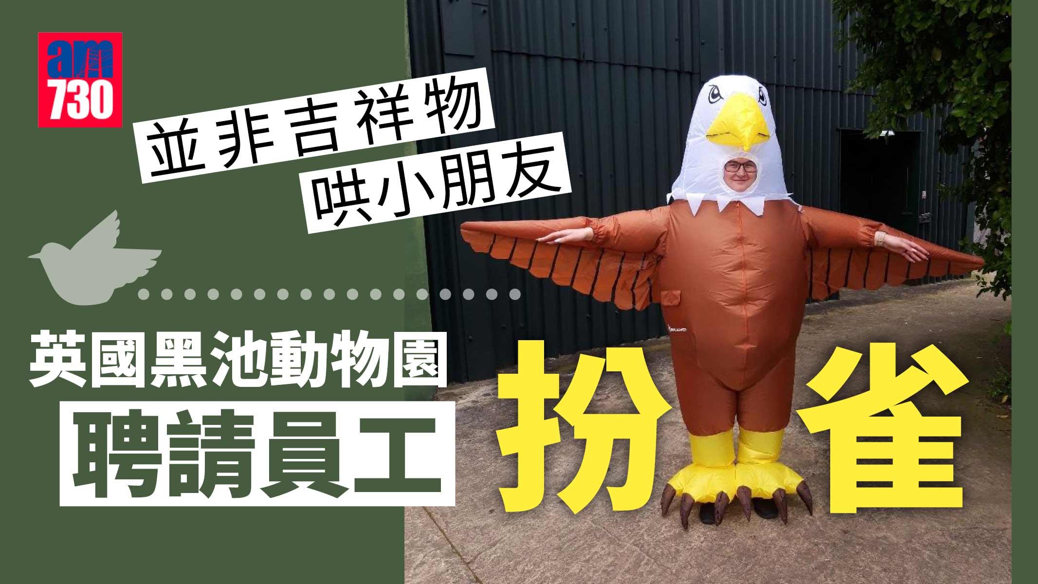 動物園請人「扮雀」 唔係吉祥物 唔係哄細路 究竟為乜？