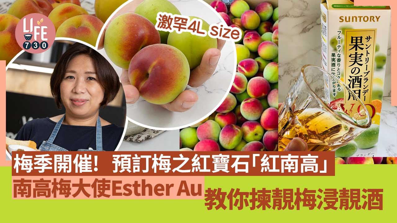 梅季開催﹗預訂梅之紅寶石和歌山「紅南高」   