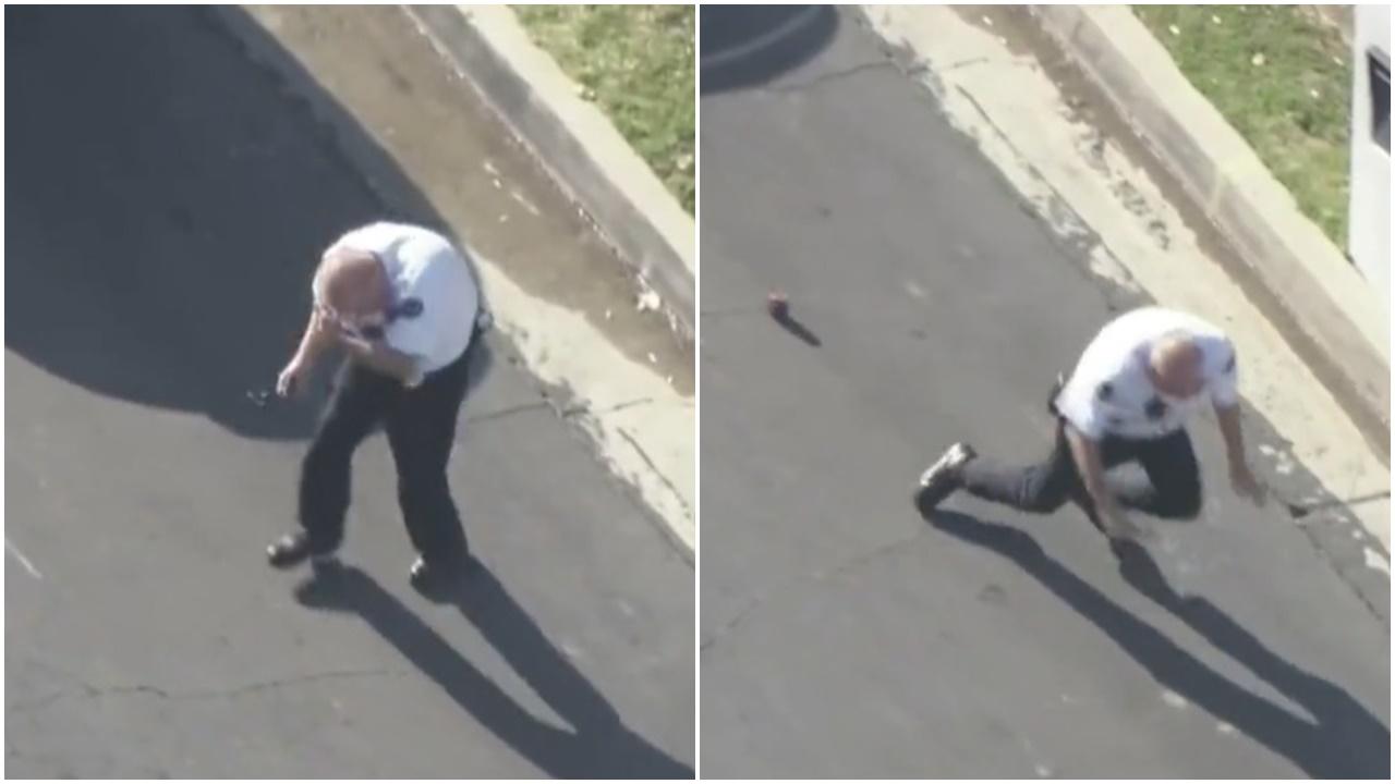 美警因為一個動作遭蜂群追擊，慘被狂螫倒地。(Twitter)