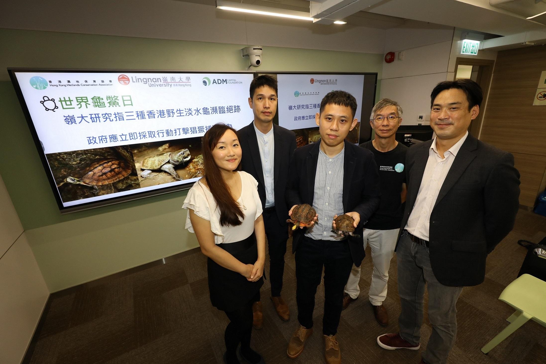 嶺大野生淡水龜瀕臨絕跡