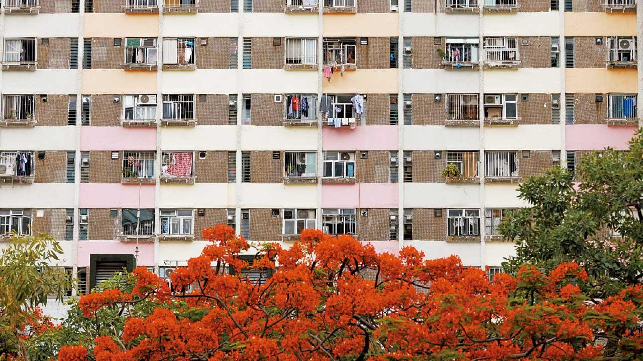 房委會公屋濫用