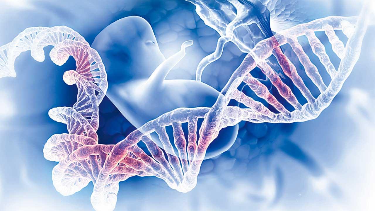 遺傳病基因篩查 