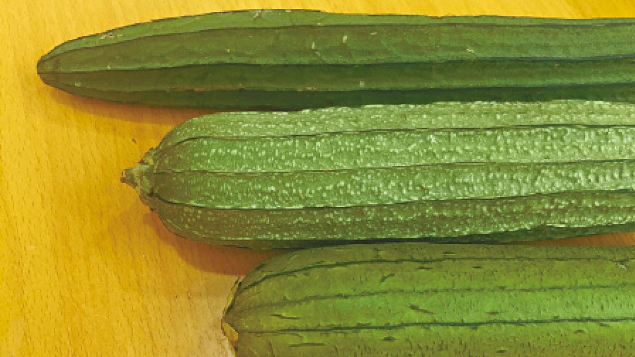 絲瓜 勝瓜 水瓜