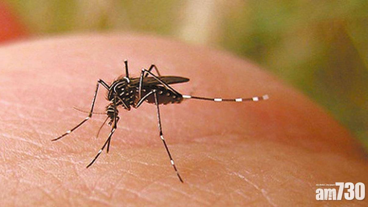 4月蚊患指數7.5%創10年新高　西貢屯門蚊患最嚴重