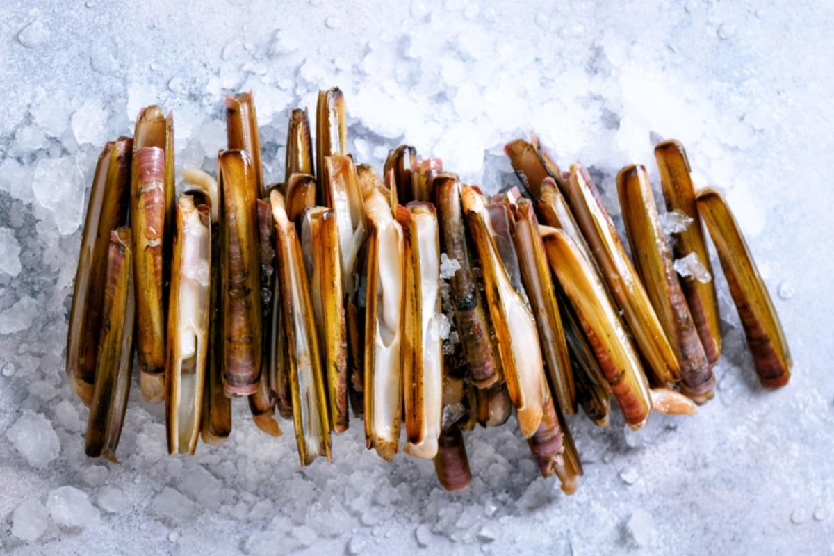 一款愛爾蘭進口蟶子被指來源不明。(Scot West Shellfish網站)