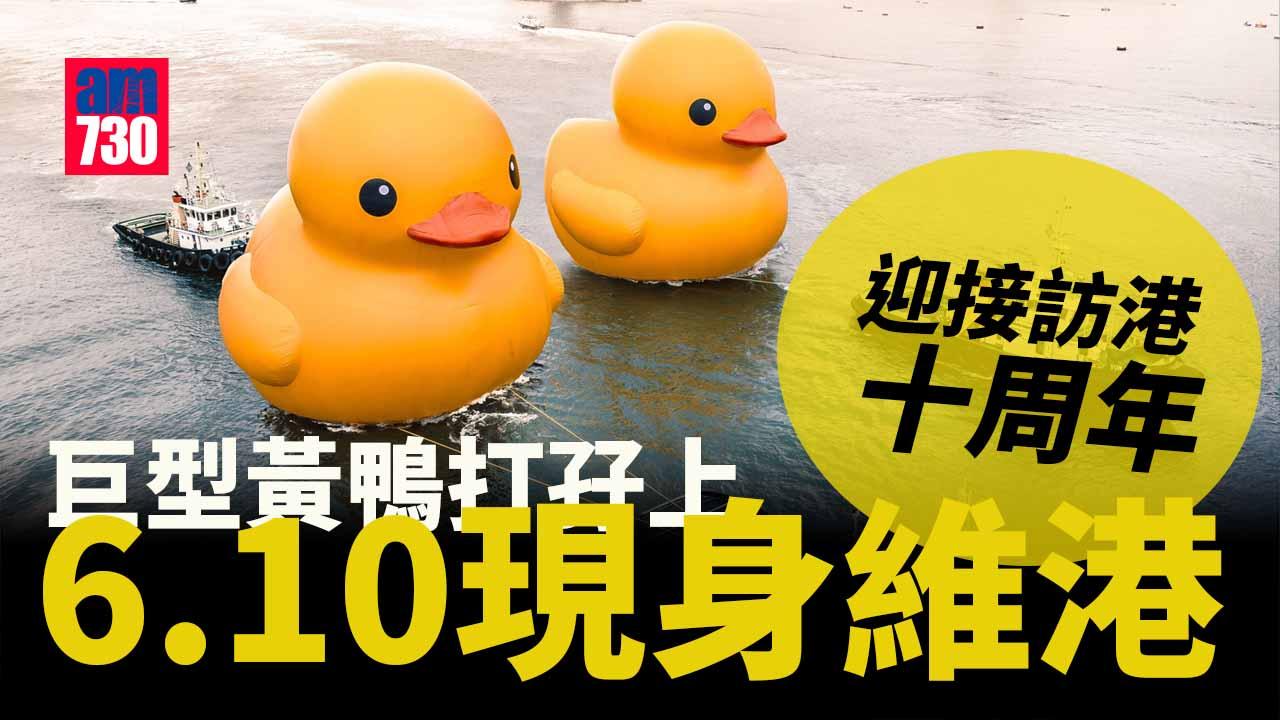 巨型黃鴨打孖上6月10日現身維港　料停留兩周迎訪港10周年