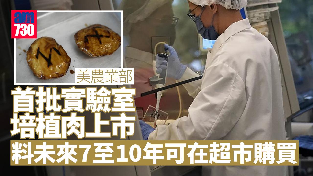 美農業部首次批准實驗室細胞培植肉上市 漢堡扒雞塊較易製造