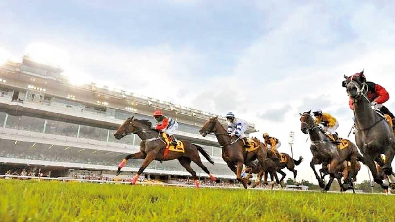 新加坡賽馬