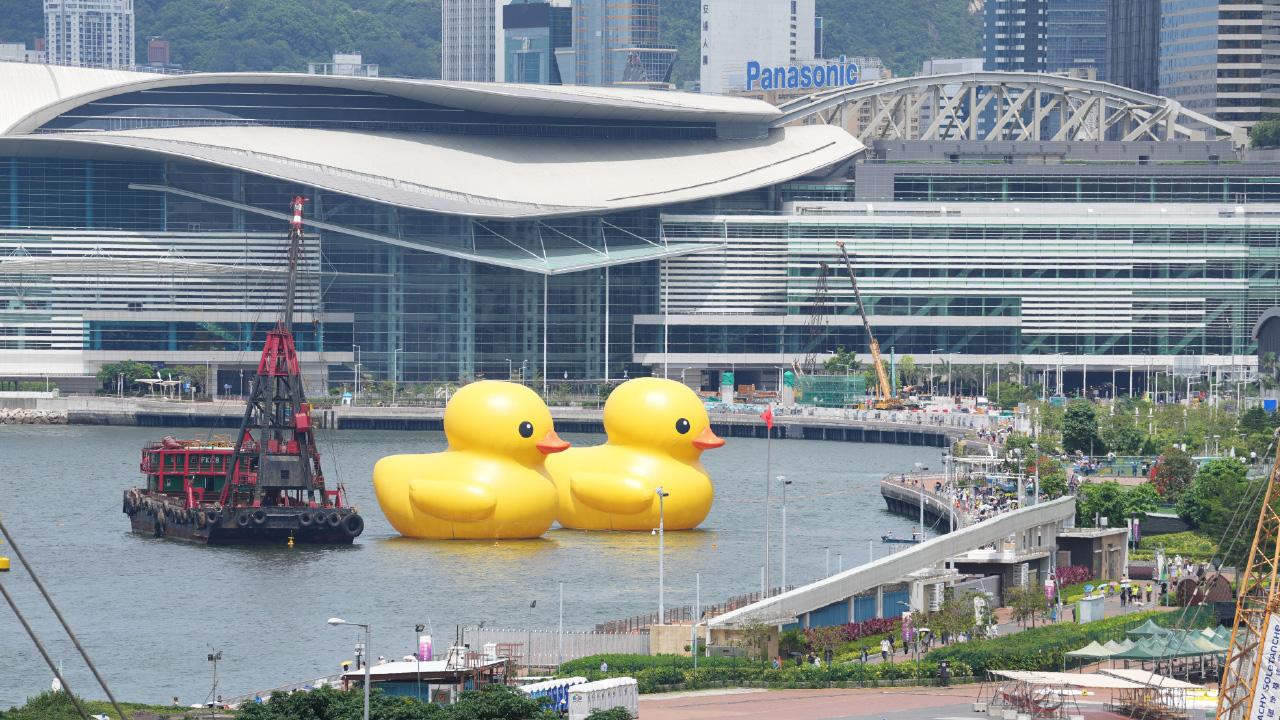 問黃鴨：物是人非乎？