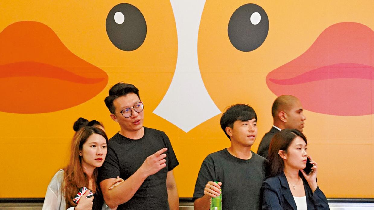 圖輯｜黃鴨攜友回歸