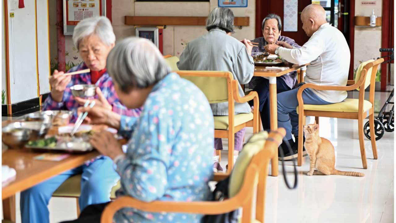 智能居家安老 開啟長者新生活