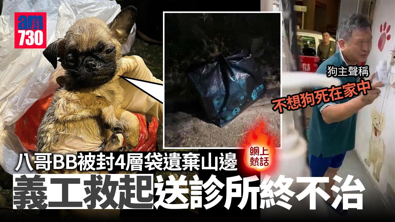 網上熱話｜八哥B被封4層袋遺棄山邊終不治　棄狗漢：不想狗死在家中
