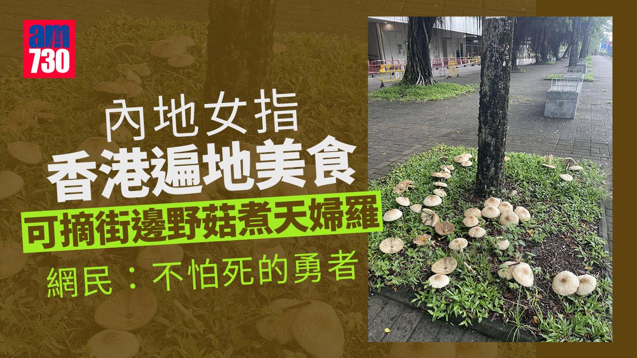 網上熱話｜內地女欲採摘大埔樹下野菇　網民：千祈千祈唔好食