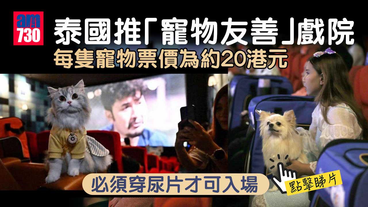 商機處處｜泰國推「寵物友善」戲院　讓主人帶毛孩觀賞電影(有片)