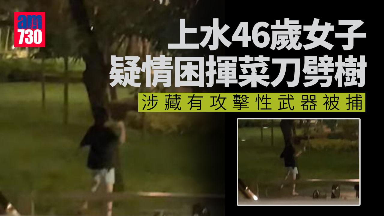 上水女深宵揮菜刀劈樹　疑情困洩憤涉藏武被捕